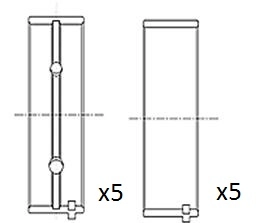 Crankshaft Bearing